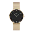 ساعت دنیل ولینگتون Petite Evergold Black