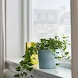 گلدان ایکیا مدل NYPON 9cm