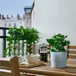 گلدان ایکیا مدل NYPON 9cm