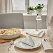 دستمال سفره مدل SILVERARV بسته 4 عددی