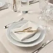 دستمال سفره مدل SILVERARV بسته 4 عددی