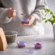 ظرف نگهدارنده غذا درب دار ایکیا مدل PRUTA یاسی ست ۳ تایی