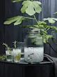 کلمن شیشه ای 5 لیتری ایکیا مدل VARDAGEN