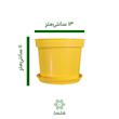 گلدان پلاستیکی پاچیرا مدل P14 با راهنمای سایز – دهانه ۱۴ سانتی‌متر و طول ۱۱ سانتی‌متر