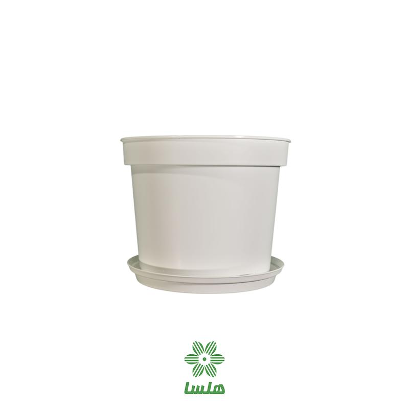 گلدان پاچیرا مدل A23  سفید به همراه زیرگلدانی 