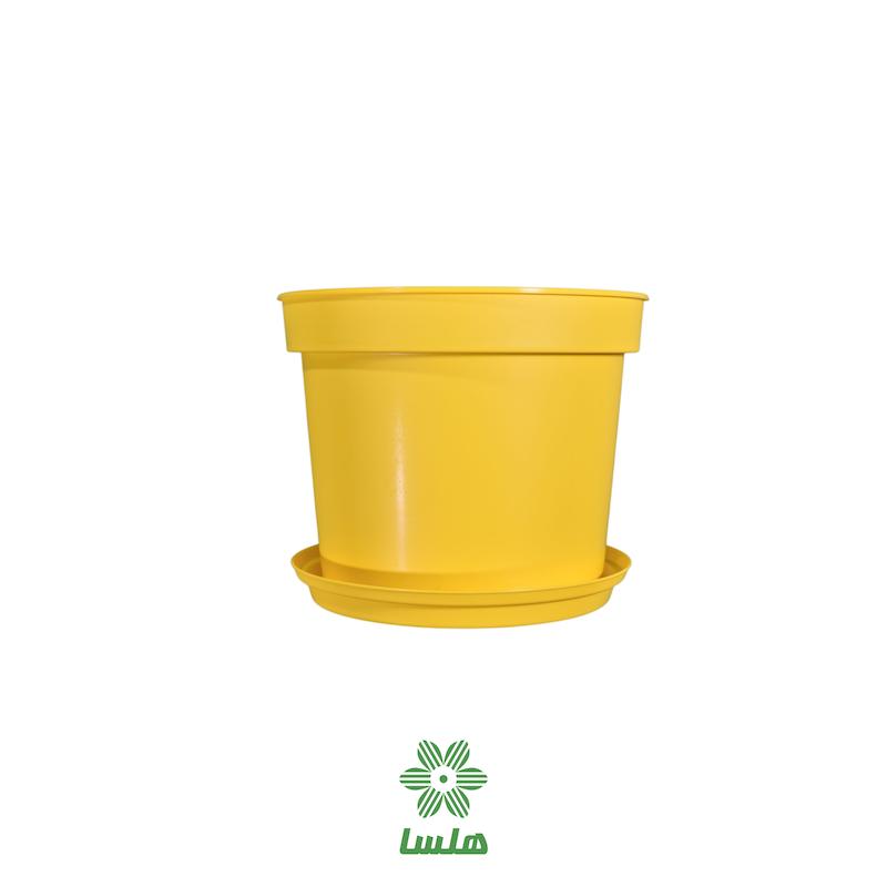 گلدان پاچیرا مدل A23 زرد به همراه زیرگلدانی 