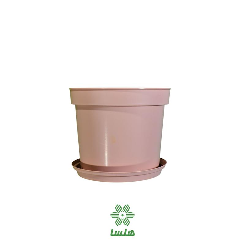 گلدان پاچیرا مدل A23 صورتی به همراه زیرگلدانی 