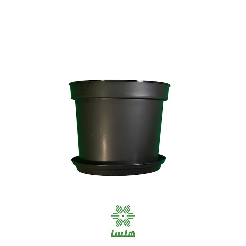 گلدان پاچیرا مدل A23 مشکی به همراه زیرگلدانی 