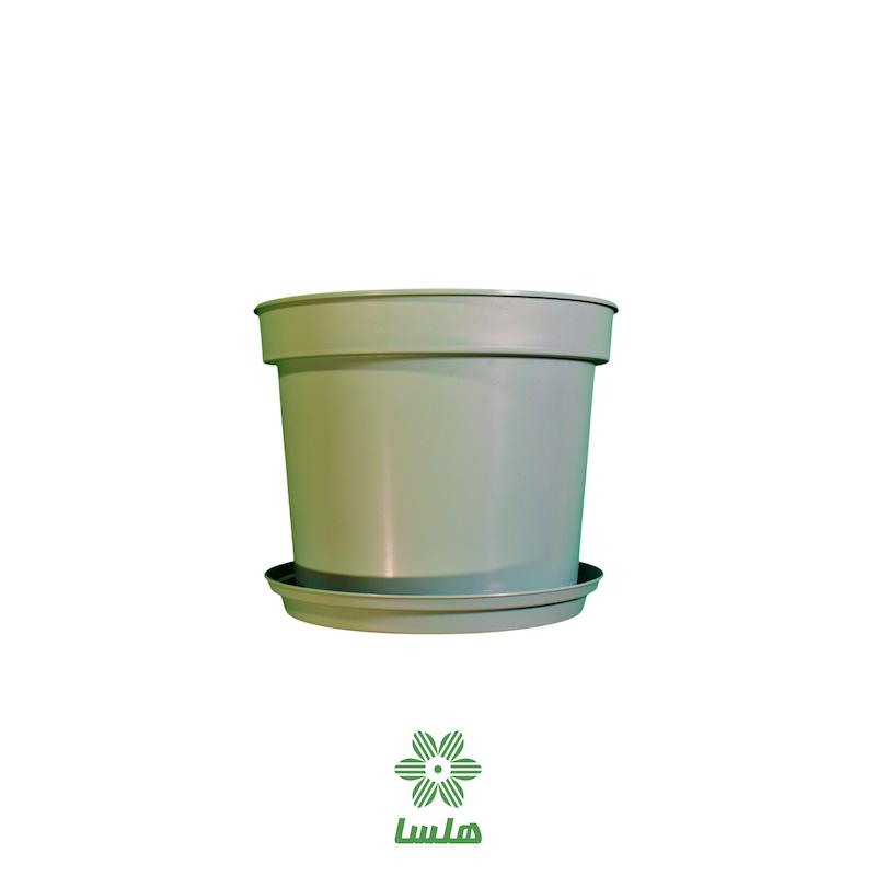 گلدان پاچیرا مدل A23 سبز نعنایی به همراه زیرگلدانی 