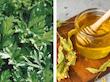 ماسک شب لب Fraijour مدل Wormwood