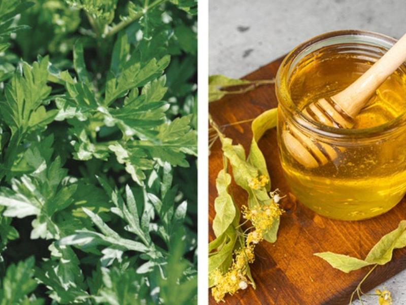 ماسک شب لب Fraijour مدل Wormwood