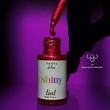 شاینی تینت - Shiny tint 