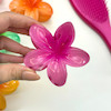 پلومریا ۸سانتی(۱۳رنگبندی)🌷