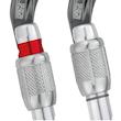 کارابین پیچ ویلیام پتزل        Petzl WILLIAM Screw Lock Carabiner