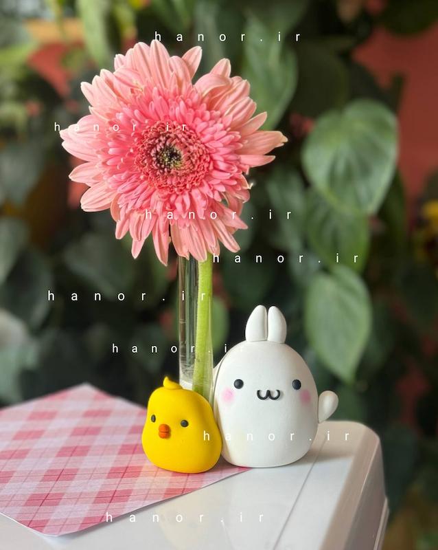 گلدان فانتزی مولانگ و‌جوجو