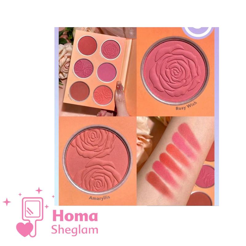 پالت رژگونه پودری ۶ رنگ شیگلم رنگ Multi colour 