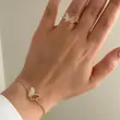 سرویس طرح پروانه ژوپینگ