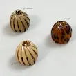 کلیپس کوچک آکاردئونی