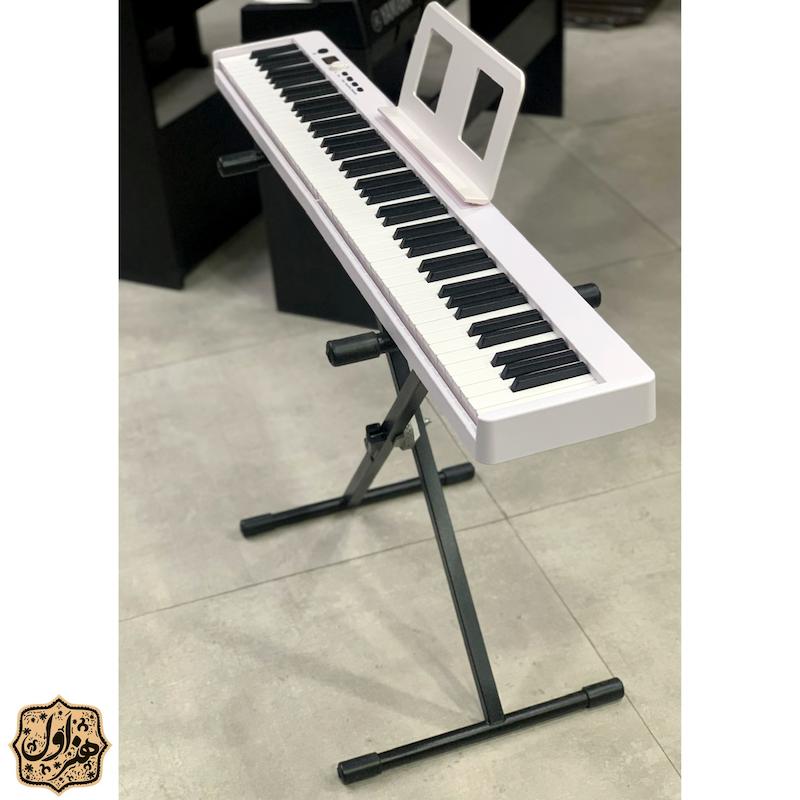 پایه ارگ مدل سناتور