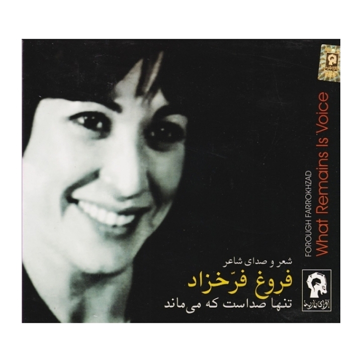 تنها صداست که می ماند