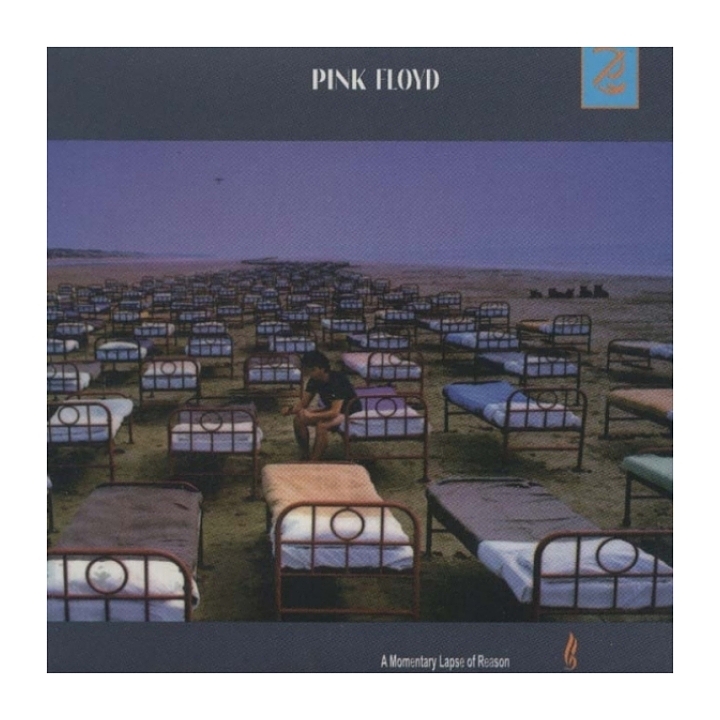 A Momentary Lapse of Reason