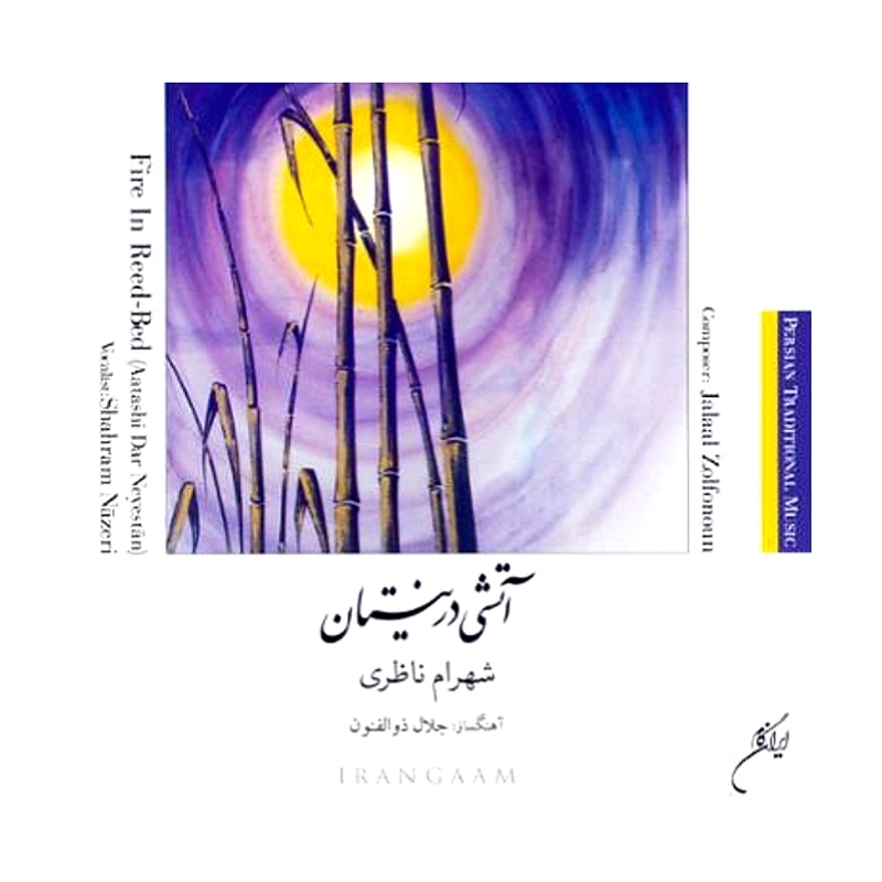 آتشی در نیستان