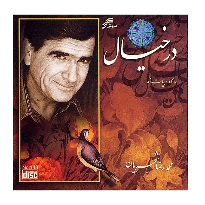 در خیال(سه گاه و بیات زند)