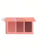 پالت رژ گونه سوییت چیک شیگلم | Sweet Cheeks Palette blush Sheglam