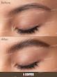 مداد ابرو مدادی دوئل اندد شیگلم | Dual Ended pencil eyebrow liner Sheglam