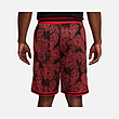 Nike Dri-Fit DNA Charts Shorts