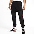 Nike Air Max Therma-Fit Polar Sherpa Fleece Cargo Joggers