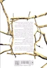 کتاب پادشاه پریان (شاهزاده ی سنگدل)(جلد1) اثر هالی بلک از نشر باژ