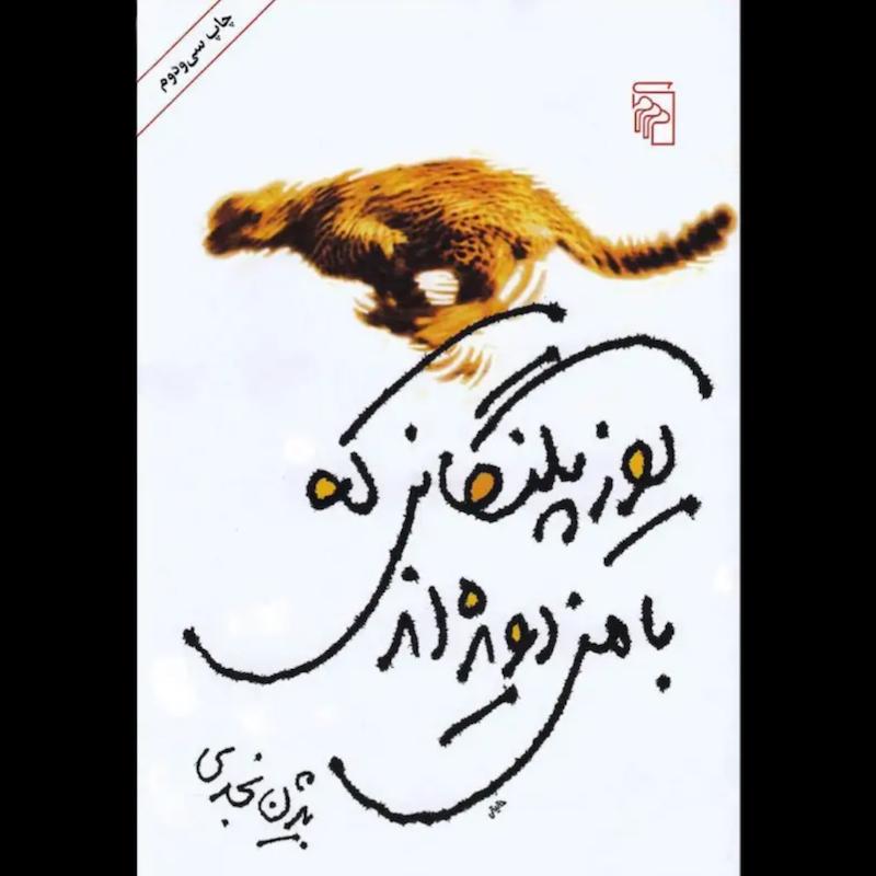کتاب یوزپلنگانی که با من دویده اند اثر بیژن نجدی از نشر مرکز