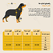 راهنمای سایز بامبر سگ و گربه اسپایک