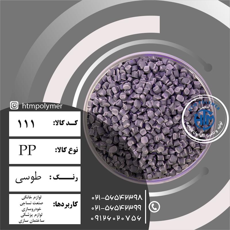 PP طوسی