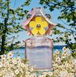 عطر ادکلن زنانه ادو تویلت مارک جاکوبز دیسی سو فرش حجم 125 میلی لیتر  Marc Jacobs Daisy Eau So Fresh
