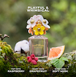 عطر ادکلن زنانه ادو تویلت مارک جاکوبز دیسی سو فرش حجم 125 میلی لیتر  Marc Jacobs Daisy Eau So Fresh