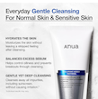 ANUA Hydrating Gentle Foaming Cleanser فوم شست شوی هیالورونیک اسید و پنتول آنوا 