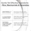 سرم آبرسان و تقویت‌کننده سد دفاعی برنج و سراماید آنوا ANUA Rice Ceramide 7 Hydrating Barrier Serum