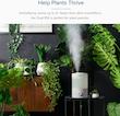 رطوبت ساز لویت Levoit Humidifiers for Bedroom, 3L, Nightt Light, Essential Oil Diffuser