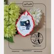 گیفت الفبا حرفم مثل معلم ( خانم)  هایپرآذین 