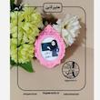گیفت الفبا حرفم مثل معلم ( خانم)  هایپرآذین 