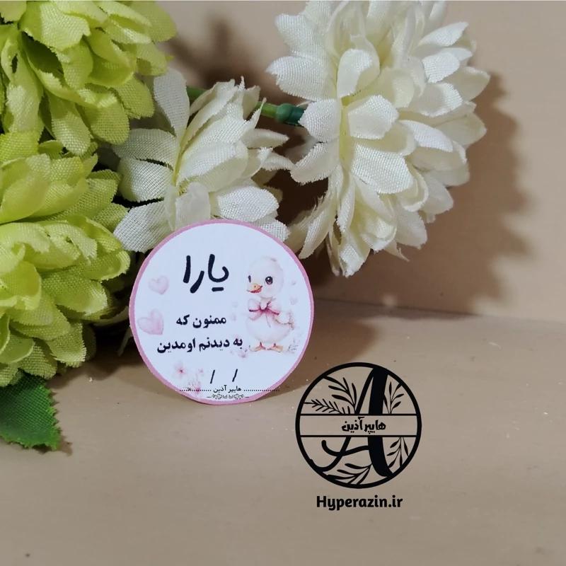 تگ نوزادی تگ گیفت نوزادی و سیسمونی دخترانه (یک عددی بدون قیطان) هایپرآذین