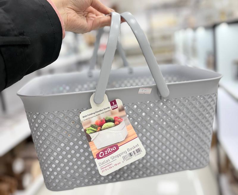 سبدمسافرتی