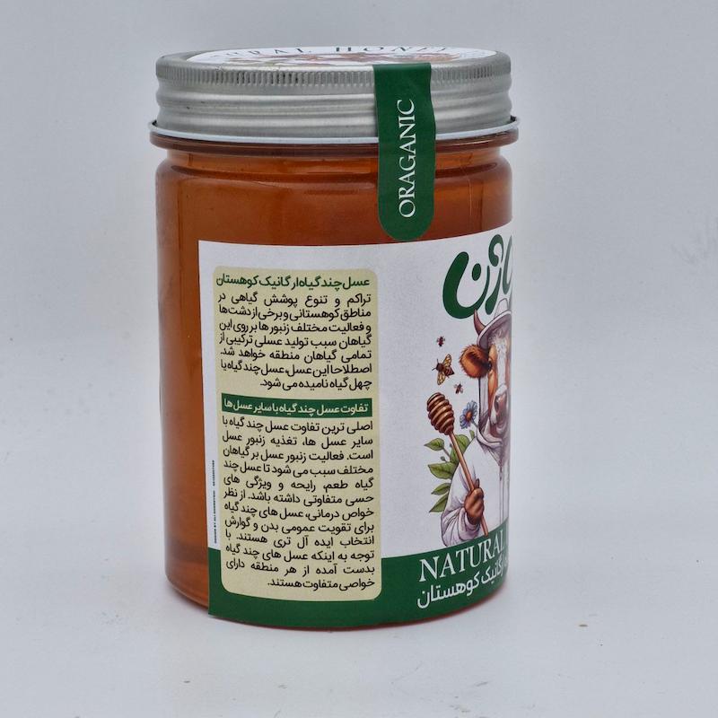 عسل چندگیاه ارگانیک کوهستان نوژن | 1000 و 600 گرمی