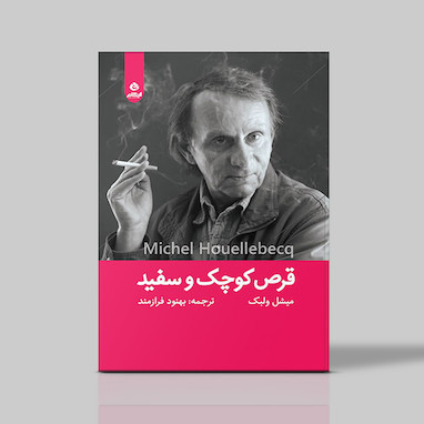 بررسی مهم‌ترین رمان میشل ولبک 