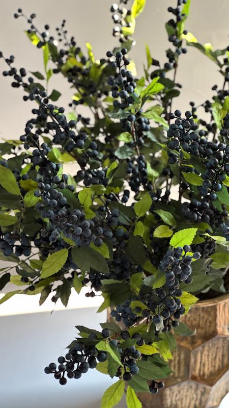 شاخه لوکس بلوبری 