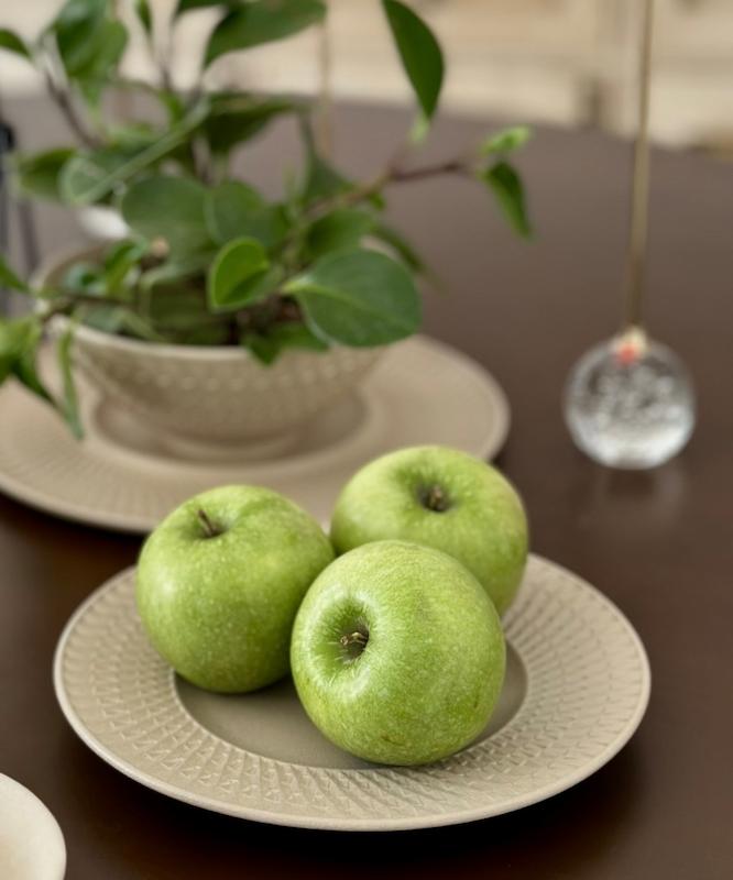 پیش دستی مدرن 