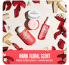 ست سول دو ژانیروBOM DIA BRIGHT JET SET