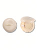 کوشن شیگلم Lock & Go Long-Lasting Cushion Foundation-